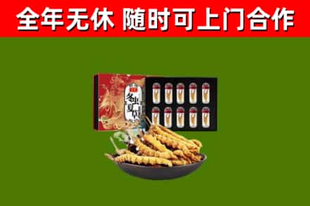 泽州回收冬虫夏草价格